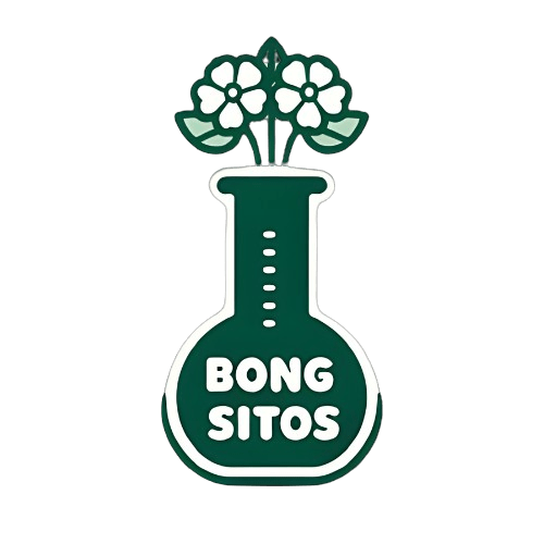 Bongsitos.cl | Bongs, Pipas y Accesorios Premium en Chile